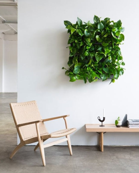 Skogluft Design: Bringing the Serenity of Nature into Your Living Spaces