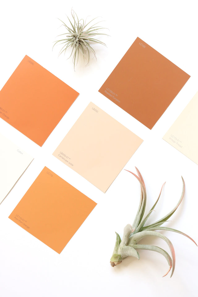 Colour swatches of brown, orange, pink and mustard